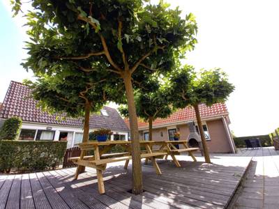 Friese Antillen 4+ Personen Ferienhaus (6)