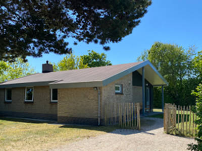 Zeekraal
